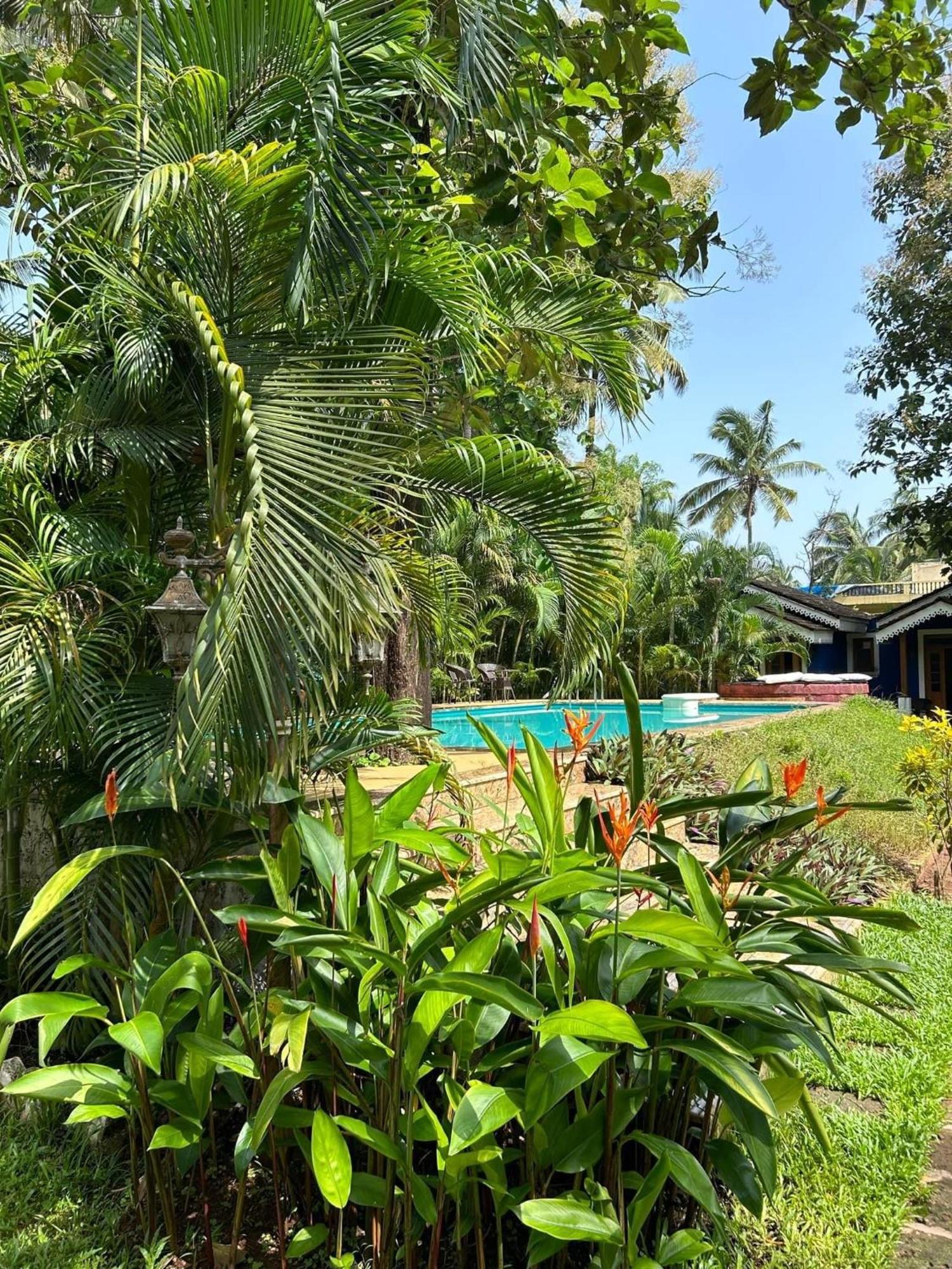 The Amrit Goa Bed & Breakfast Candolim Exterior photo